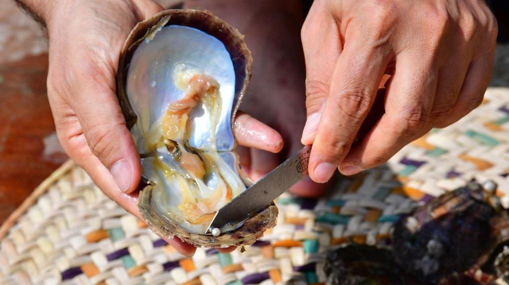 What Are The Odds Of Finding A Pearl In My Oyster