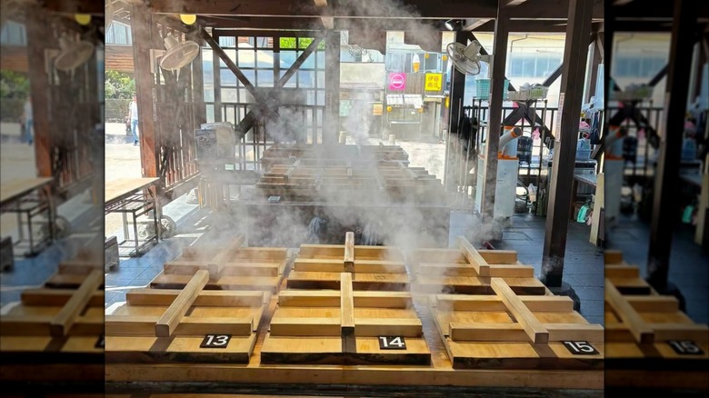 Hot spring cooking in Japan
