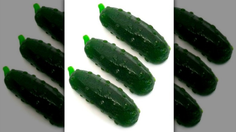 Three giant Gummy Pickles on a white background.