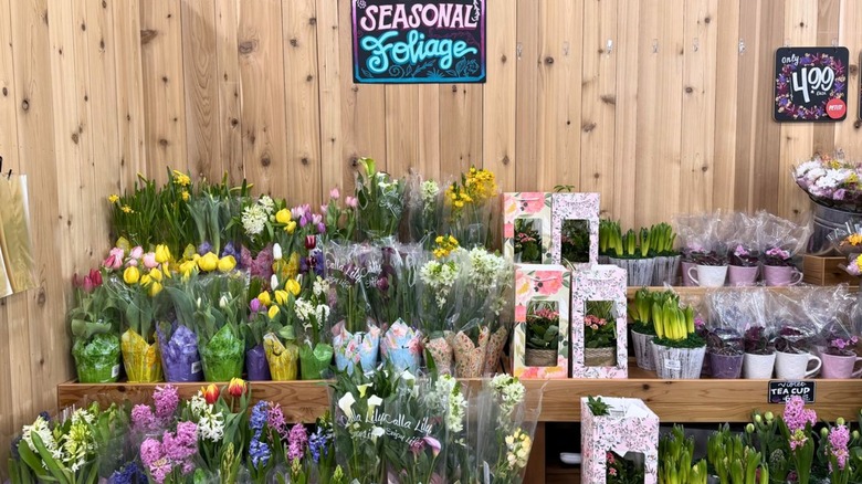 Spring flower display at Trader Joe's full of boquets and potted flowers