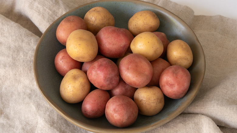 Assorted raw whole small potatoes in a bowl