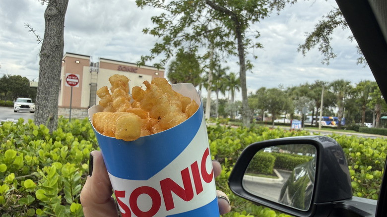 Sonic fries out of car window