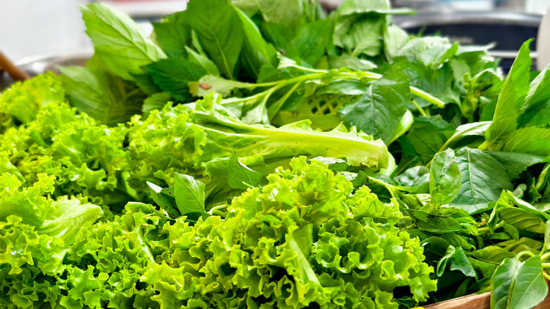 Various leafy greens
