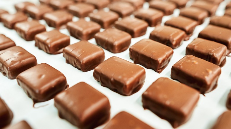Rows of artisanal chocolates.