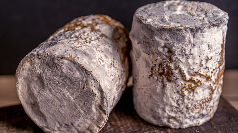 Close-up of Charolais cheese