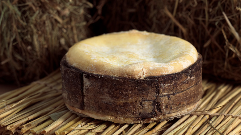 Vacherin Mont-d'Or cheese on bamboo