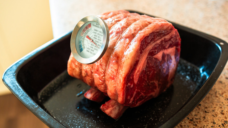 Raw prime rib on the bone in a roasting tray with a meat thermometer in it