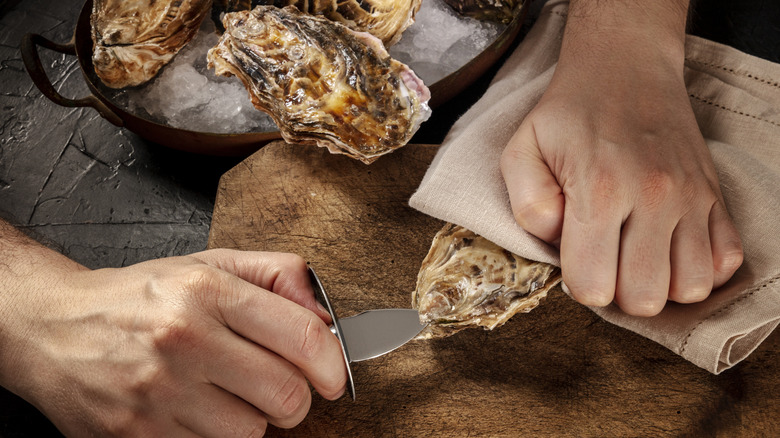 A close-up of hands shucking a fresh oyster in a dish towel