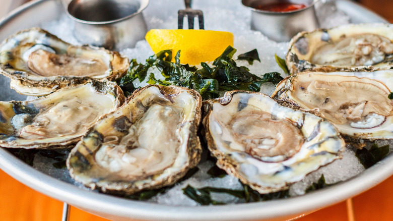 A plate of oysters on the half shell over ice with a wedge of lemon and dipping sauces