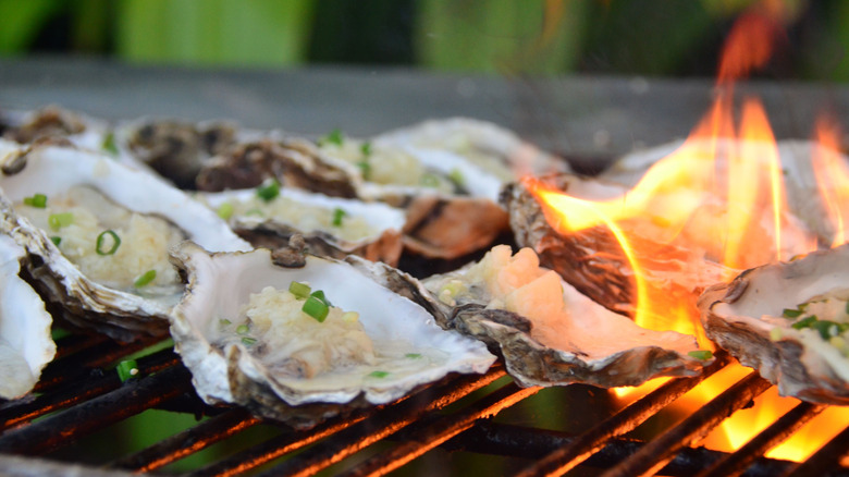 Oysters on a grill