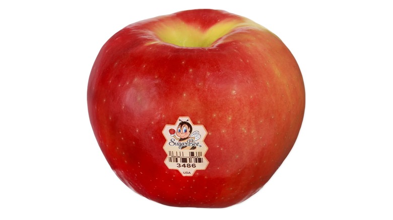 A whole fresh SugarBee apple on a white background