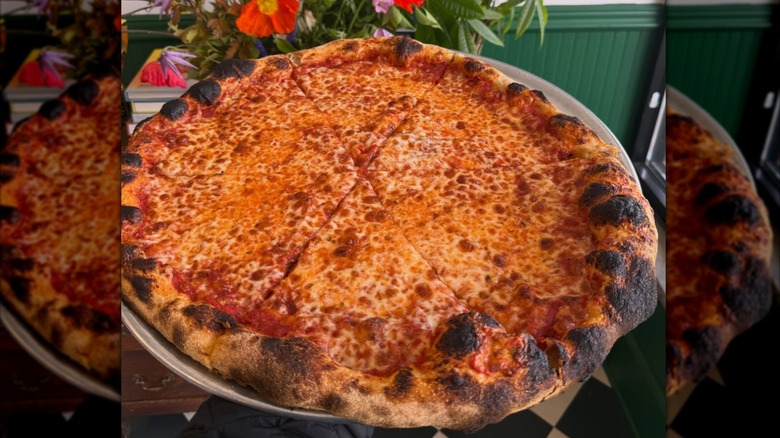 Cheese Pizza with blistered crust  from Bucky's Pizza restaurant
