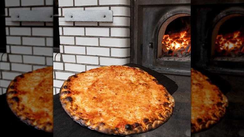 Blistered whole cheese pizza pulled out of brick oven from Frank Pepe Pizzeria Napoletana