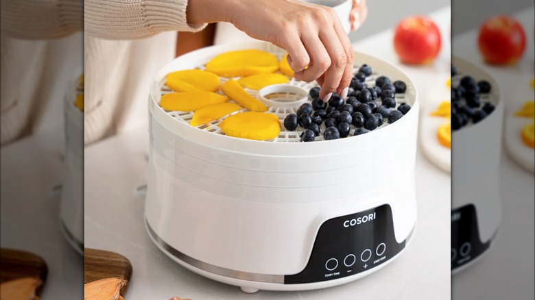 COSORI Food Dehydrator Machine