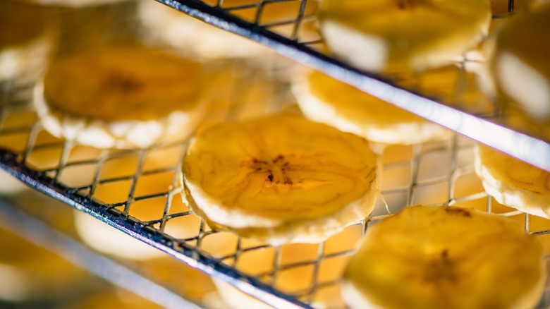 Banana slices inside a food dehydrator
