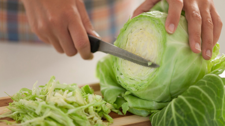 Hand holding a green cabbage while other hand cuts it