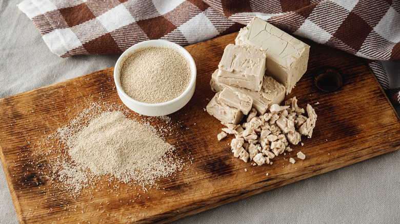 Dry Yeast for Baking Essential Leavening Ingredient.