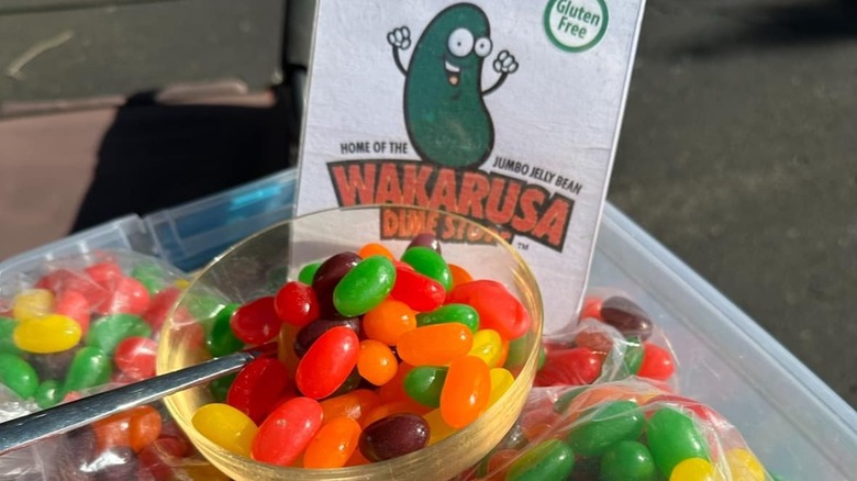 Wakarusa Jumbo Jelly Beans