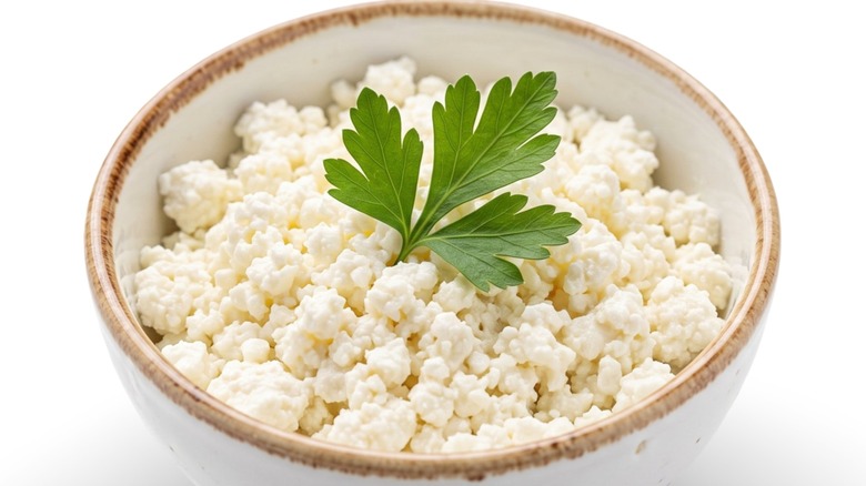 Creamy Ricotta Curd Cheese with Parsley Garnish