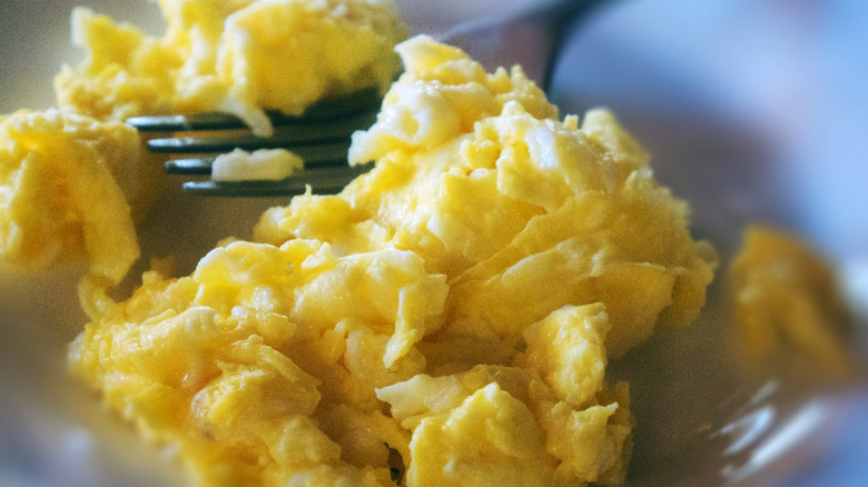 plate of scrambled eggs and a fork