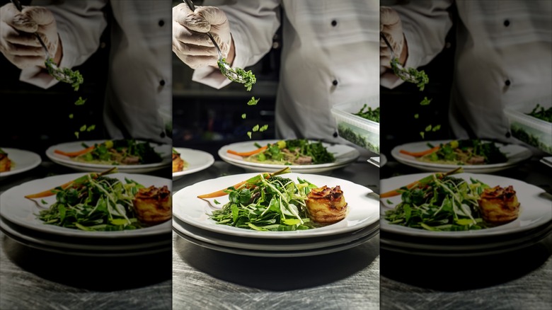 Vibrant fresh gourmet-looking meal with high-quality-looking ingredients