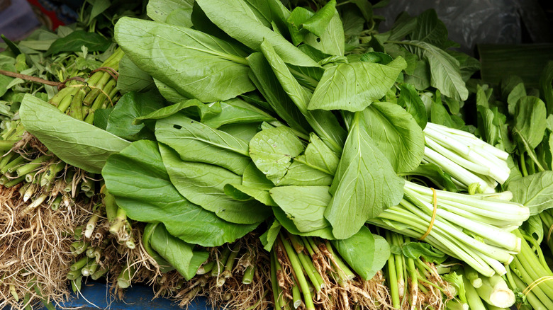 Bundles of yu choy rest on a bed of weeds.