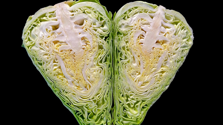 A head of conehead cabbage has been split in half, and sits on a black background.