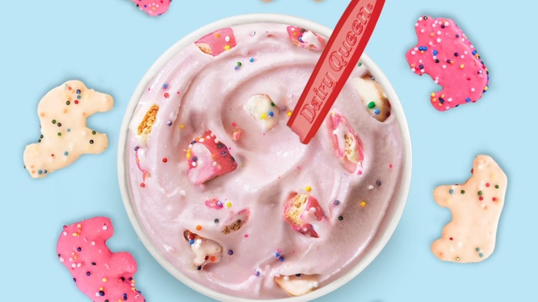 Frosted Animal Cookie Blizzard from Dairy Queen. Top View with animal cracker frosted cookies scattered surrounding it