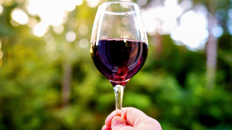 A person holding a glass of red wine outdoors