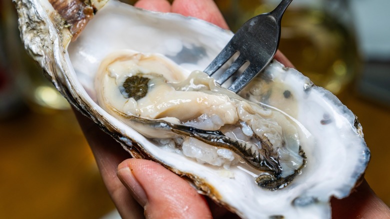 raw oyster with a fork being held in a hand