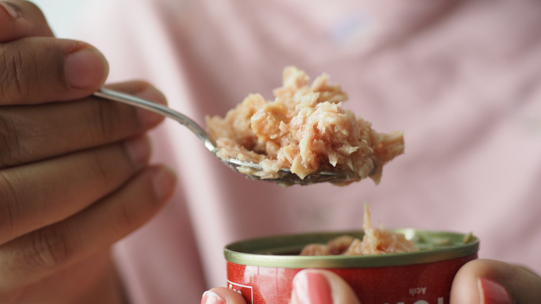 Hand lifting tuna on spoon from can