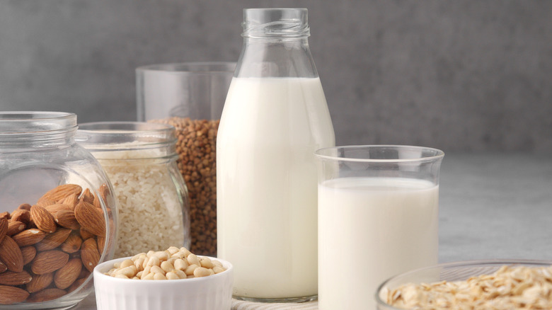 Various plant based milks with nuts surrounding in bowls