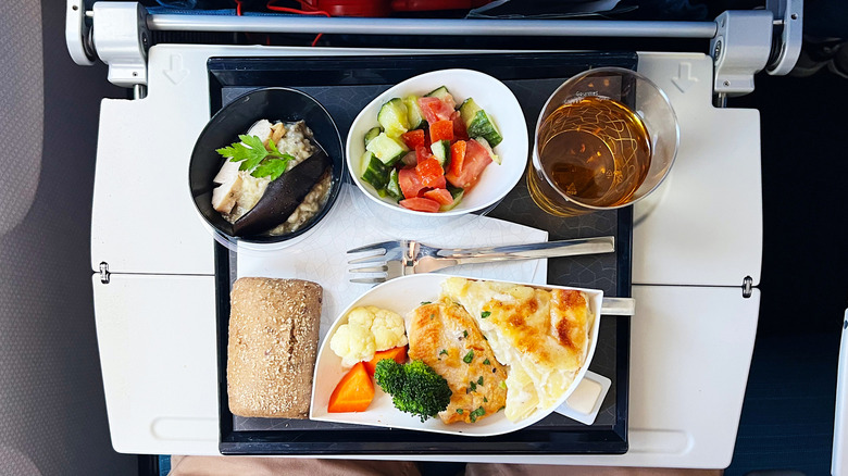 Airplane meal