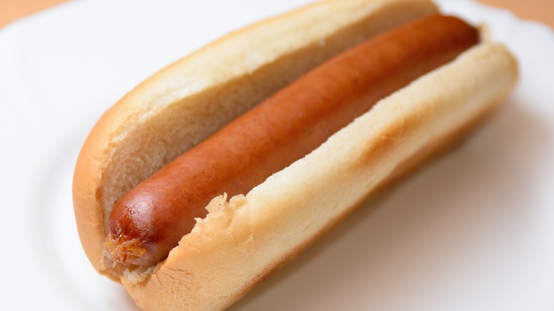 cooked plain hot dog in a plain bun