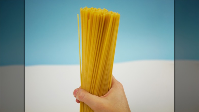 hand holding spaghetti noodles