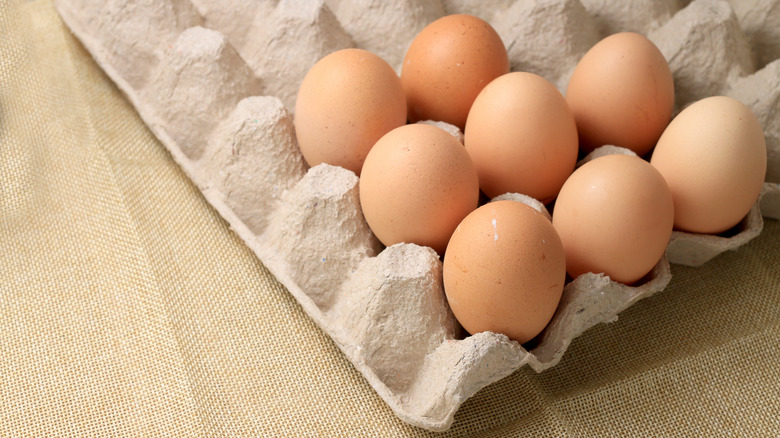 Eight brown eggs rest in a carton