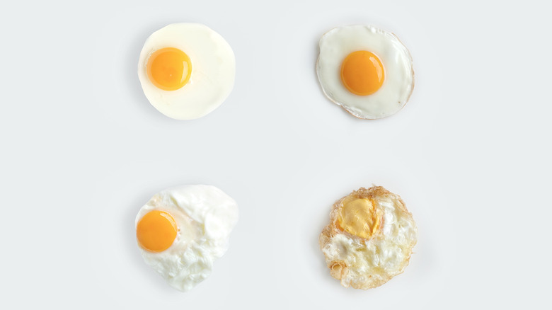 Four different types of fried eggs rest on a white backgroundq