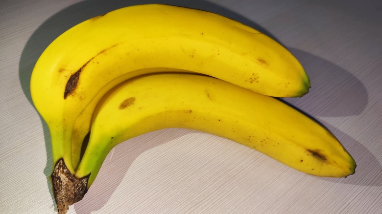 Close-up photo of a small bunch of Cavendish bananas