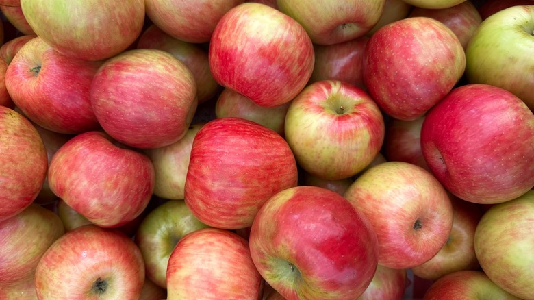 Full-frame shot of a pile of freshly picked Honeycrisp apples