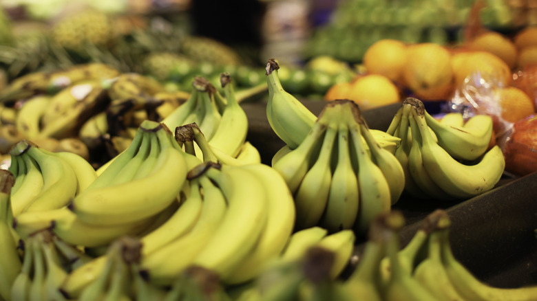 Bananas and other fruits in a produce section of a grocery store