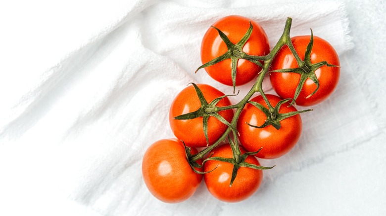 Six ripe tomatoes arranged on a white towel