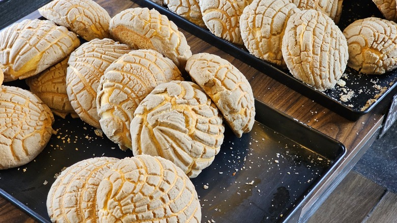 Delicious Mexican Concha sweet bread on bakery trays for sale freshly baked fresh and fluffy