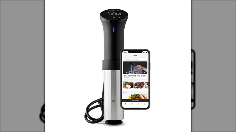 Anova Sous Vide Precision Cooker with a smartphone