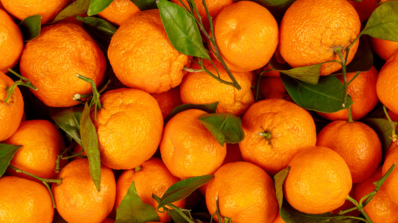 Large pile of oranges with green leaves