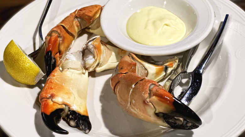 Stone crabs on a white plate with mustard sauce