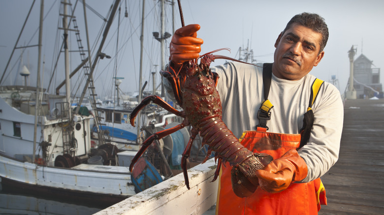 Man holding a giant lobster