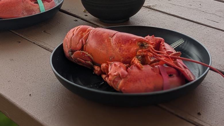 Cooked soft-shell lobster