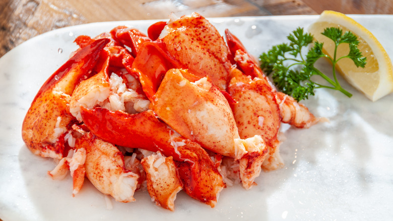 Lobster meat on platter with a slice of lemon