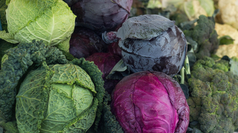 Heads of different cabbages in a pile