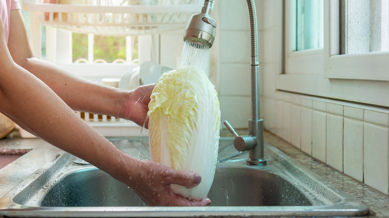 Hands holding cabbage under running water in sink